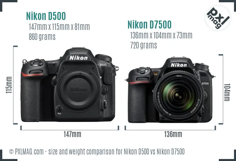 Nikon D500 vs Nikon D7500 size comparison
