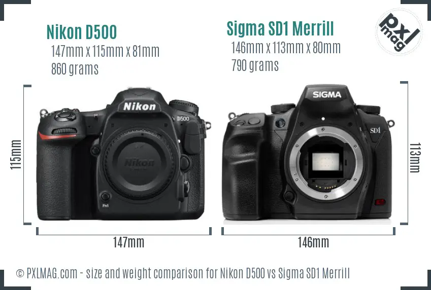 Nikon D500 vs Sigma SD1 Merrill size comparison