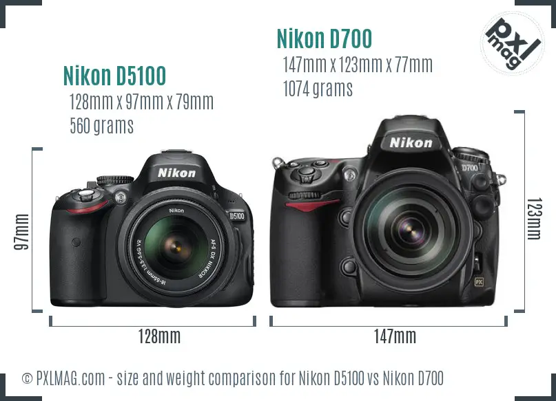 Nikon D5100 vs Nikon D700 size comparison