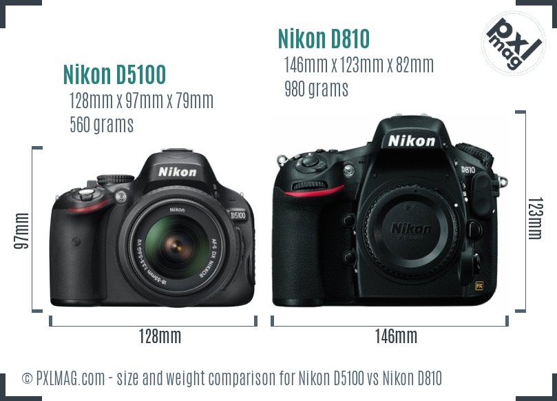 Nikon D5100 vs Nikon D810 size comparison