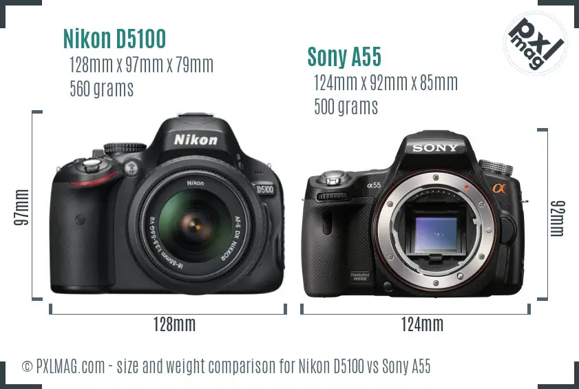 Nikon D5100 vs Sony A55 size comparison