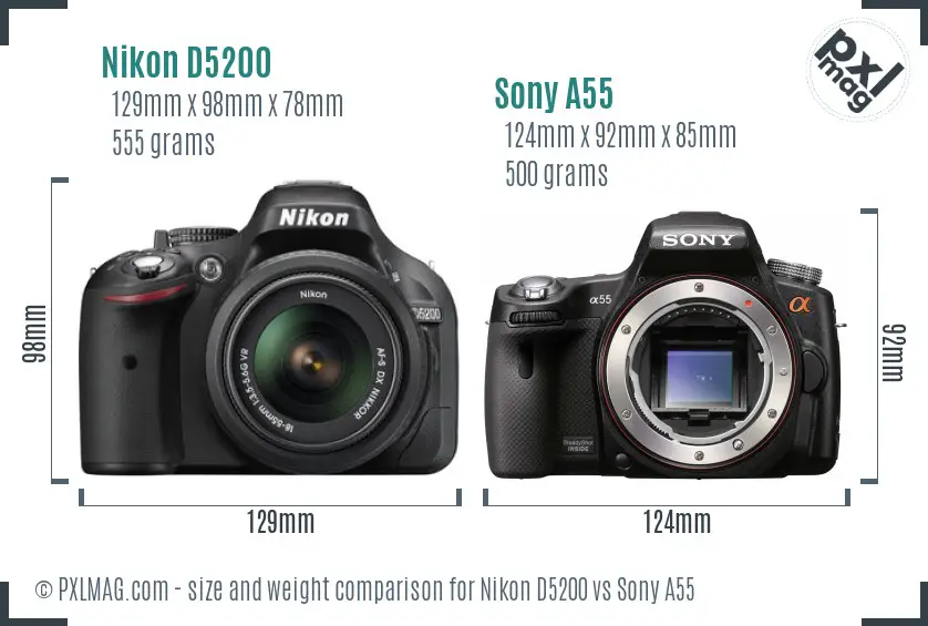 Nikon D5200 vs Sony A55 size comparison