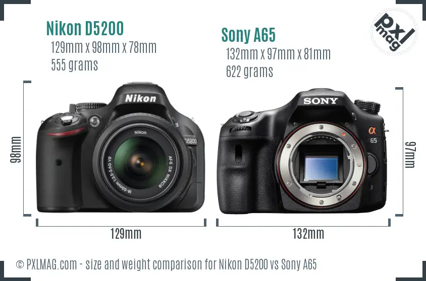 Nikon D5200 vs Sony A65 size comparison