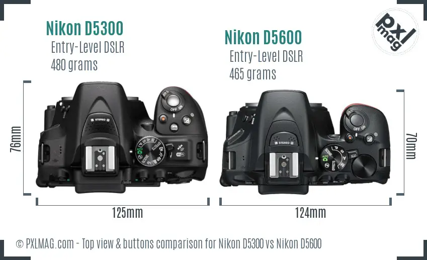 Nikon D5300 vs Nikon D5600 top view buttons comparison