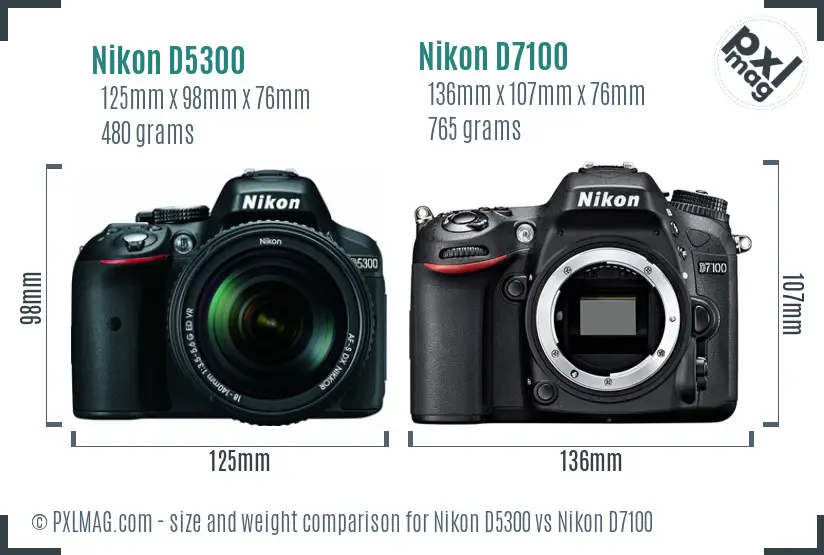 Nikon D5300 vs Nikon D7100 size comparison