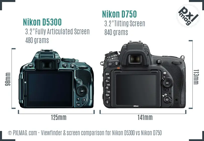 Nikon D5300 vs Nikon D750 Screen and Viewfinder comparison Nikon D5300 vs Nikon D750 Screen and Viewfinder comparison