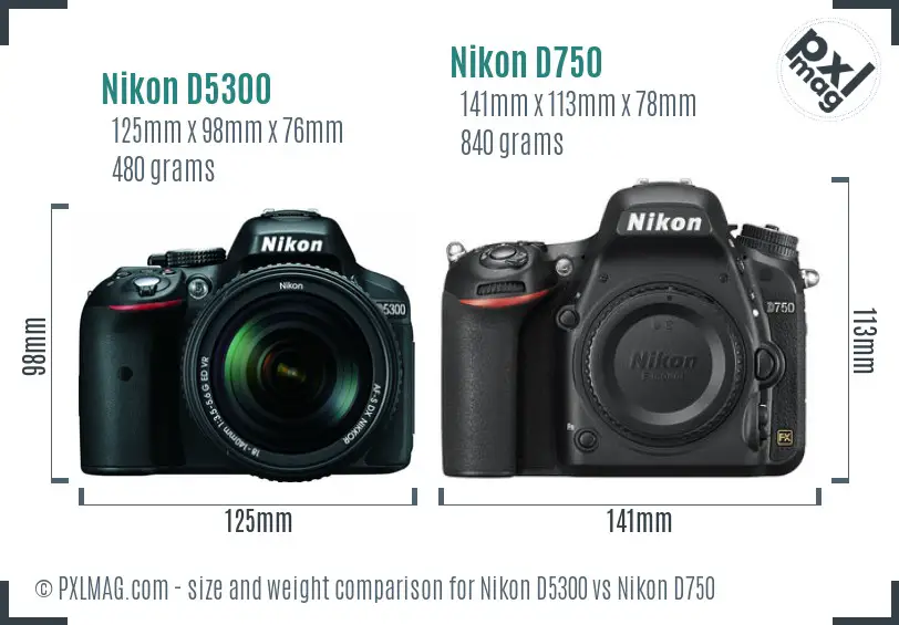 Nikon D5300 vs Nikon D750 size comparison Nikon D5300 vs Nikon D750 size comparison