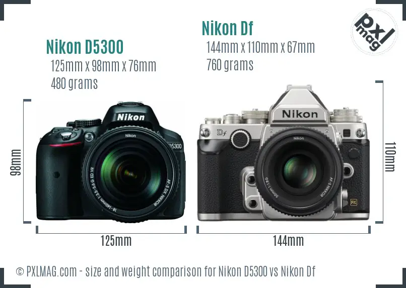 Nikon D5300 vs Nikon Df size comparison