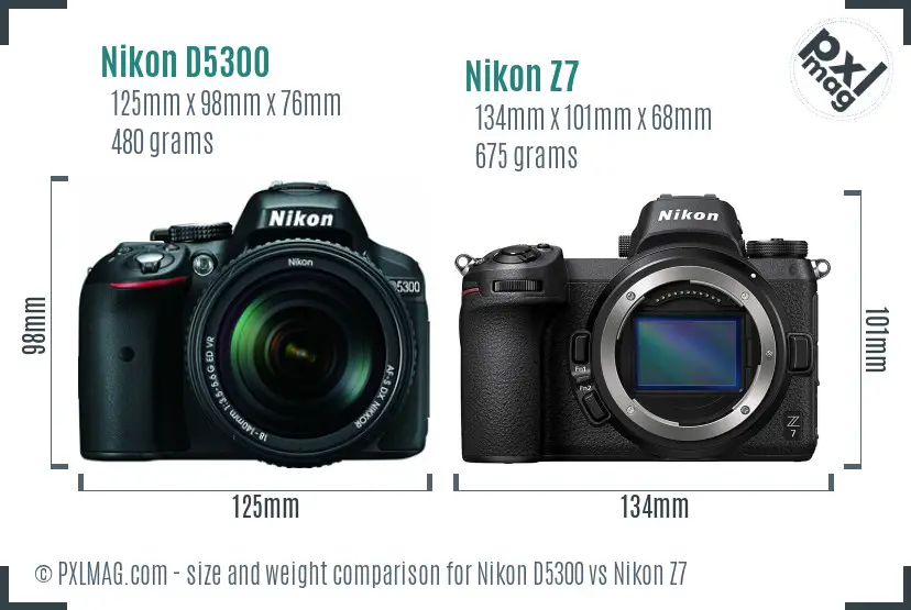 Nikon D5300 vs Nikon Z7 size comparison