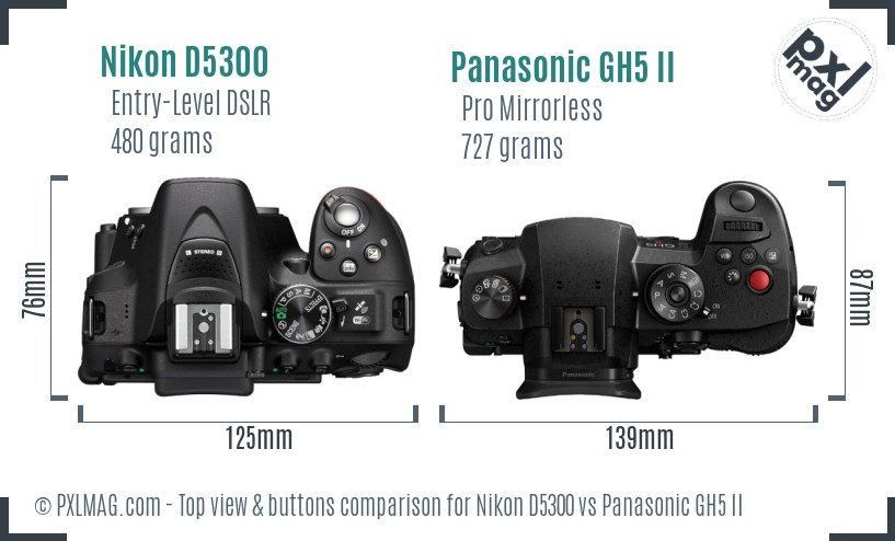 Nikon D5300 vs Panasonic GH5 II top view buttons comparison