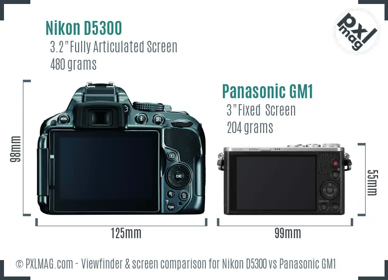 Nikon D5300 vs Panasonic GM1 Screen and Viewfinder comparison