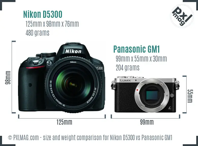 Nikon D5300 vs Panasonic GM1 size comparison