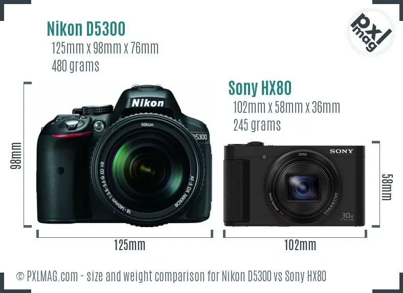 Nikon D5300 vs Sony HX80 size comparison
