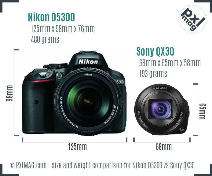 Nikon D5300 vs Sony QX30 size comparison
