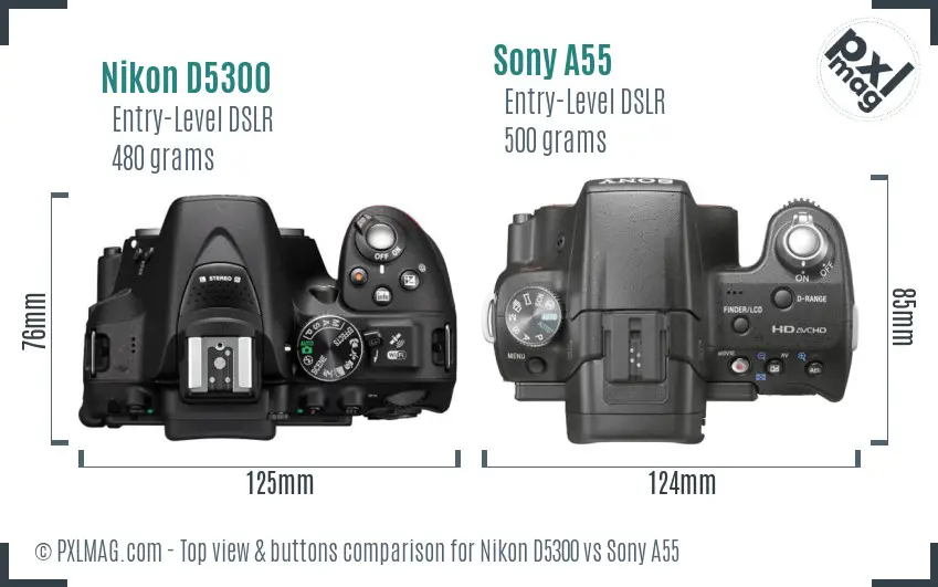 Nikon D5300 vs Sony A55 top view buttons comparison