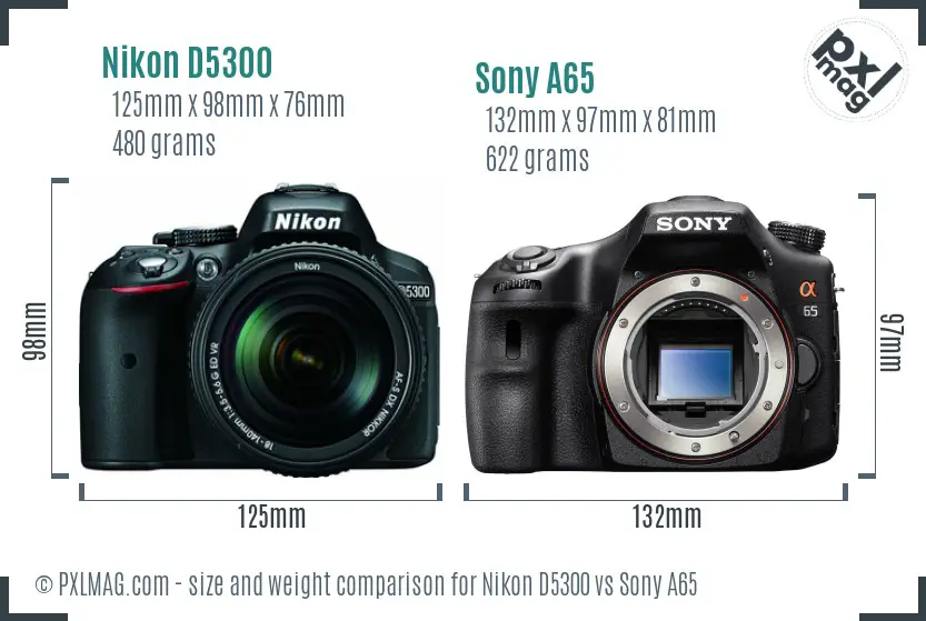 Nikon D5300 vs Sony A65 size comparison