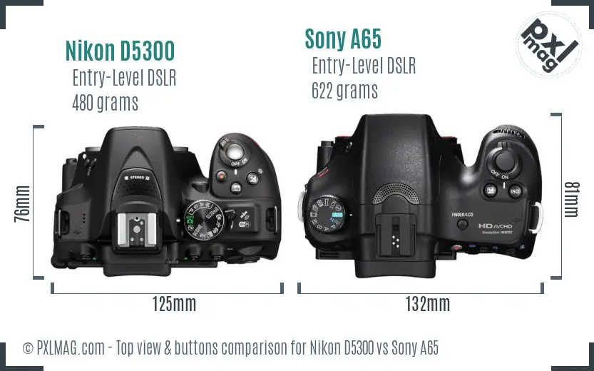 Nikon D5300 vs Sony A65 top view buttons comparison
