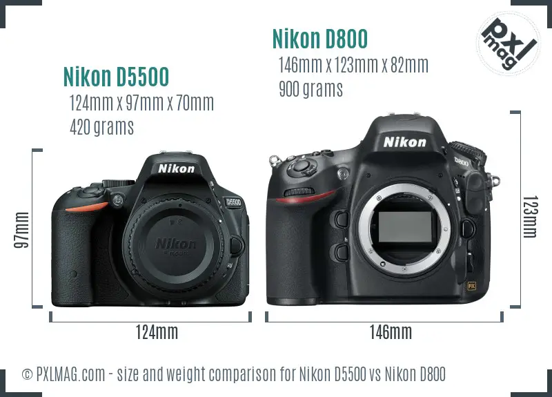 Nikon D5500 vs Nikon D800 size comparison