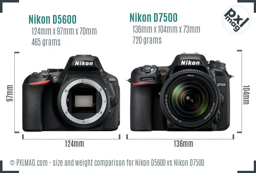Nikon D5600 vs Nikon D7500 size comparison