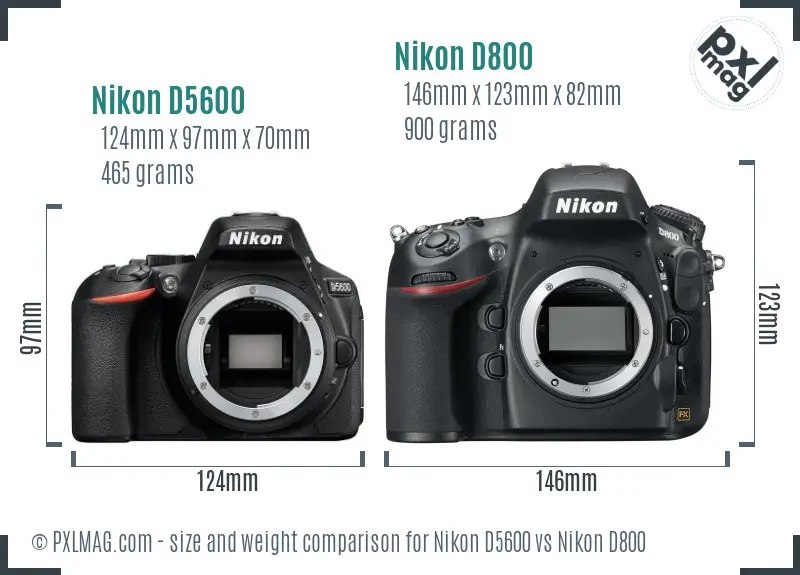 Nikon D5600 vs Nikon D800 size comparison