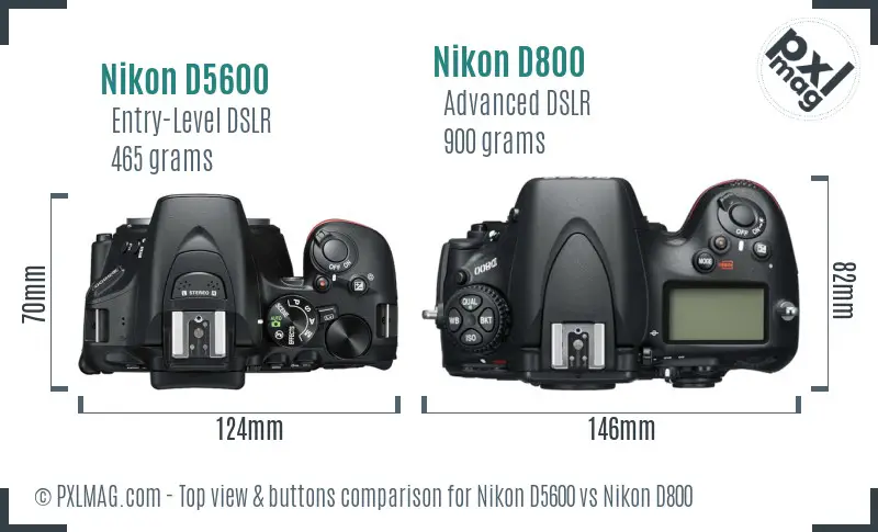 Nikon D5600 vs Nikon D800 top view buttons comparison