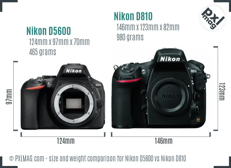 Nikon D5600 vs Nikon D810 size comparison Nikon D5600 vs Nikon D810 size comparison