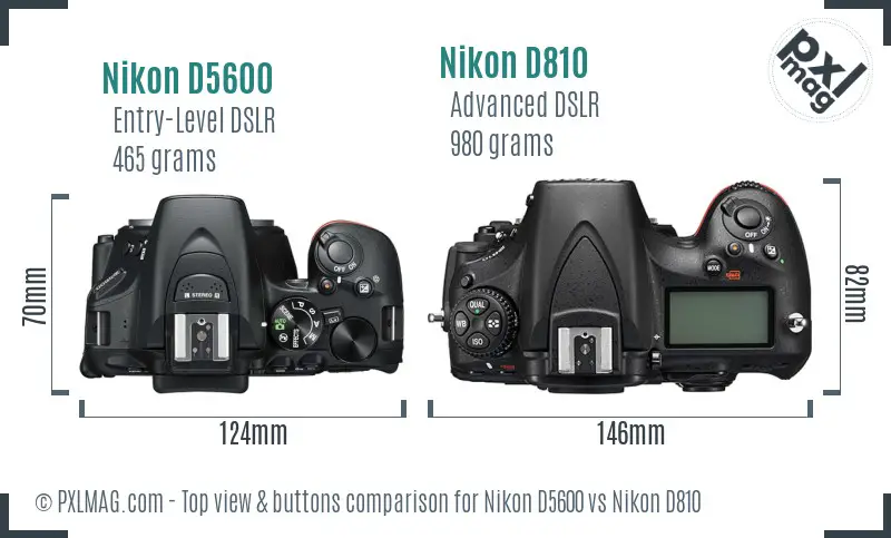 Nikon D5600 vs Nikon D810 top view buttons comparison Nikon D5600 vs Nikon D810 top view buttons comparison