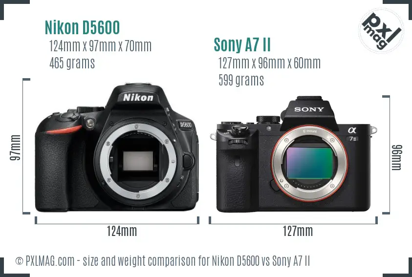 Nikon D5600 vs Sony A7 II size comparison