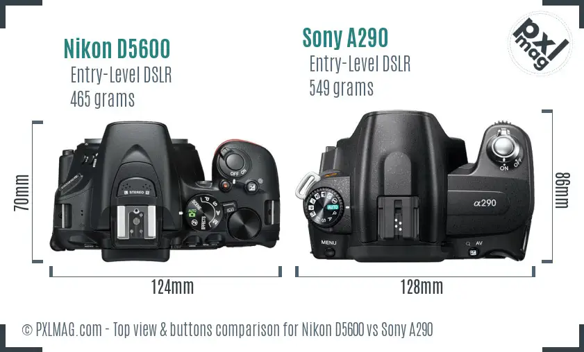 Nikon D5600 vs Sony A290 top view buttons comparison
