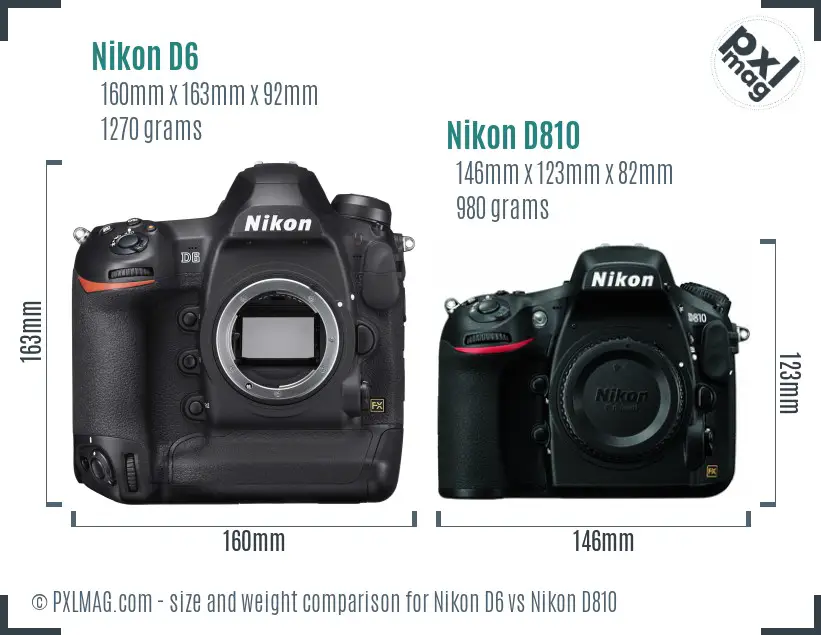 Nikon D6 vs Nikon D810 size comparison