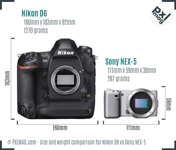 Nikon D6 vs Sony NEX-5 size comparison