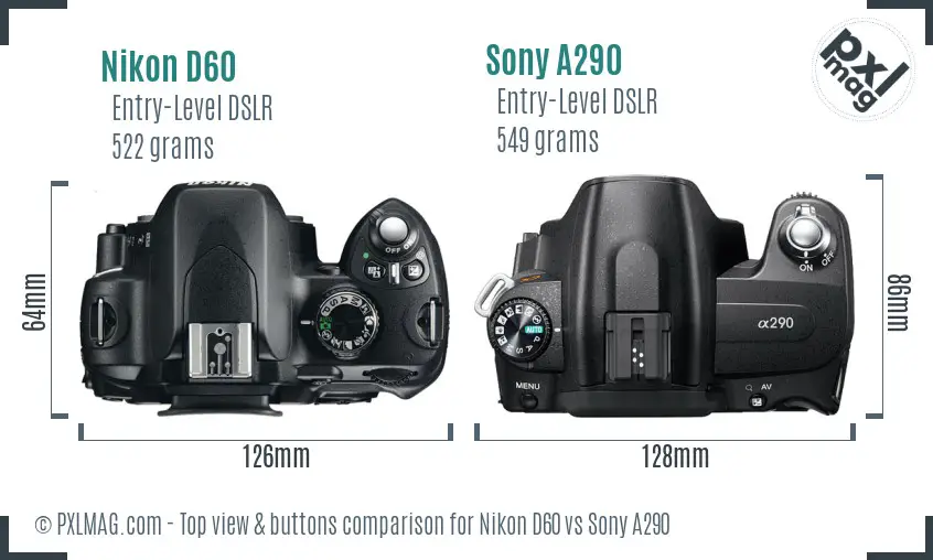 Nikon D60 vs Sony A290 top view buttons comparison