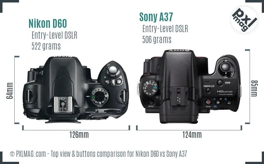 Nikon D60 vs Sony A37 top view buttons comparison Nikon D60 vs Sony A37 top view buttons comparison