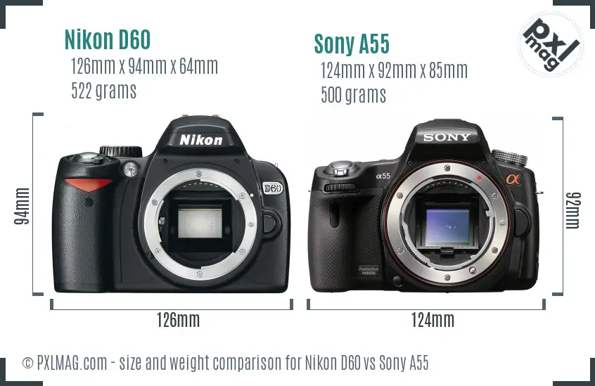 Nikon D60 vs Sony A55 size comparison