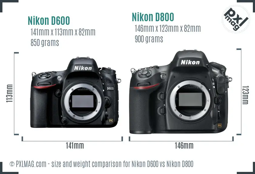 Nikon D600 vs Nikon D800 size comparison