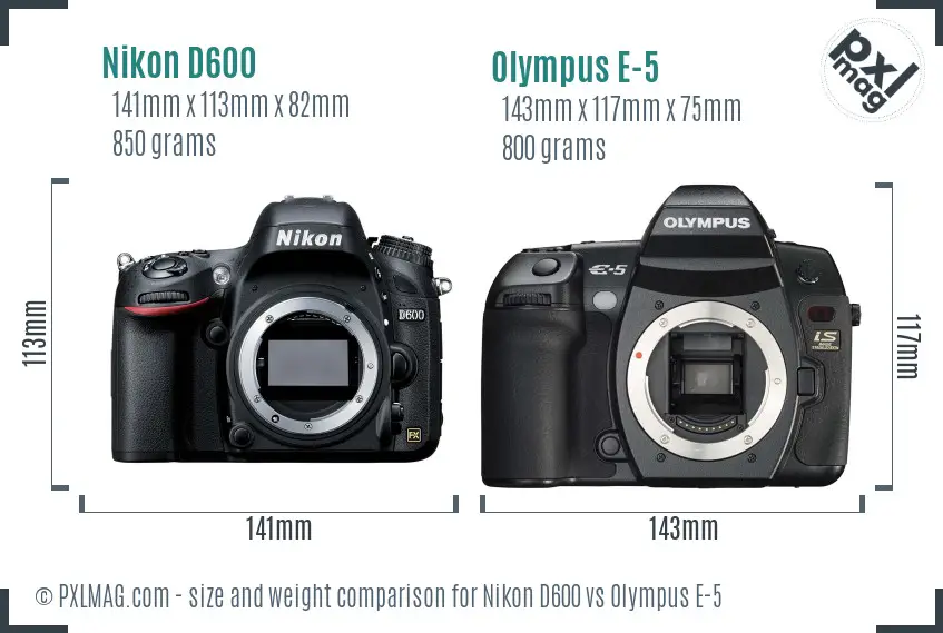Nikon D600 vs Olympus E-5 size comparison