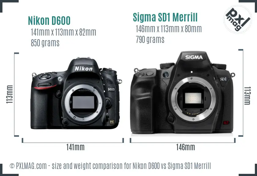 Nikon D600 vs Sigma SD1 Merrill size comparison