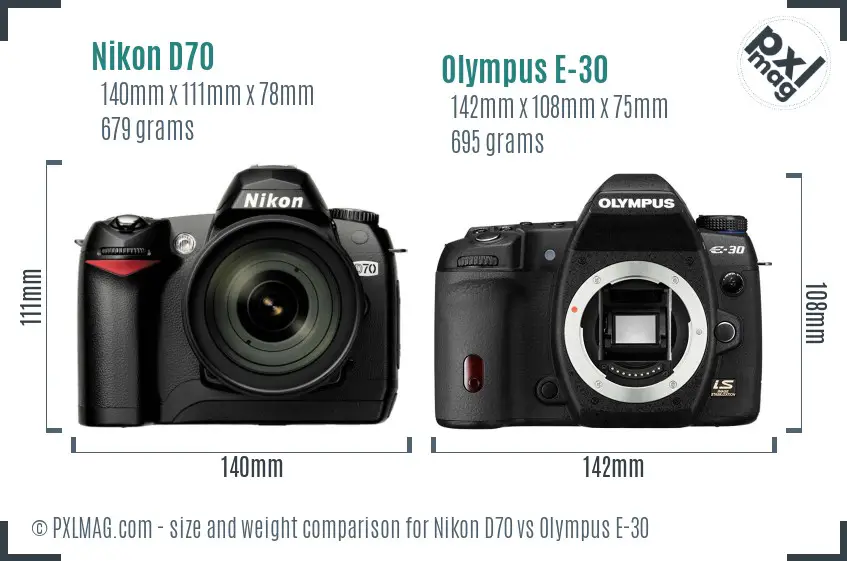 Nikon D70 vs Olympus E-30 size comparison