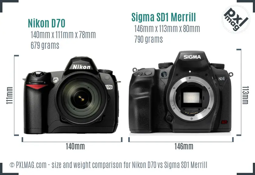 Nikon D70 vs Sigma SD1 Merrill size comparison