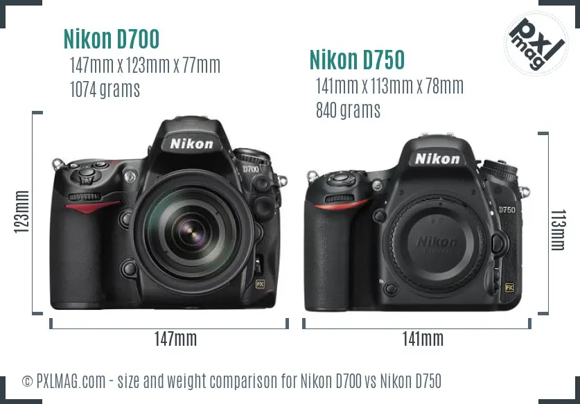 Nikon D700 vs Nikon D750 size comparison