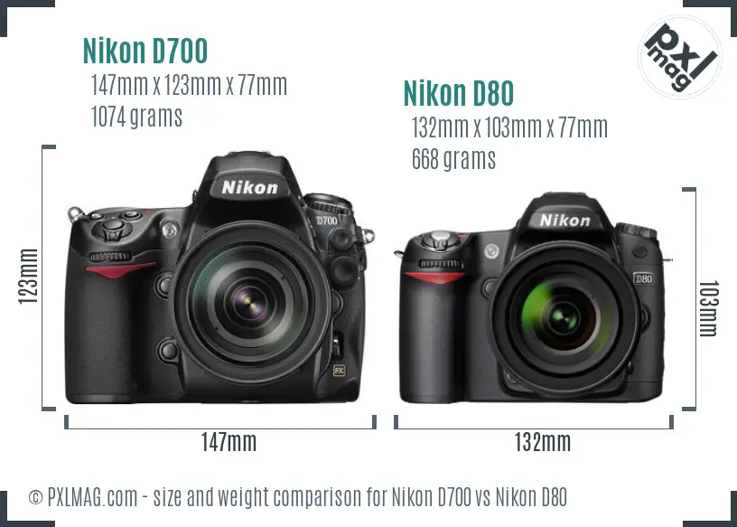Nikon D700 vs Nikon D80 size comparison