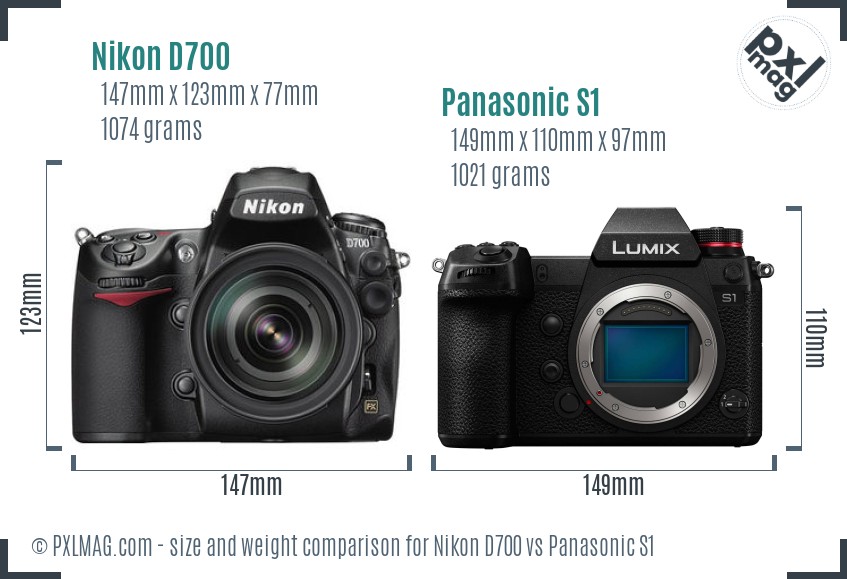 Nikon D700 vs Panasonic S1 size comparison
