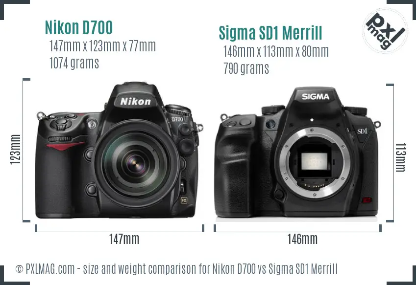 Nikon D700 vs Sigma SD1 Merrill size comparison