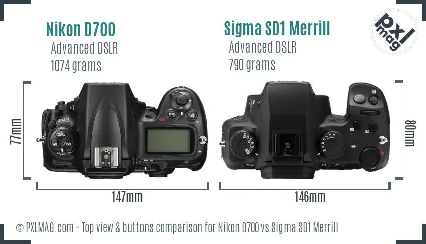 Nikon D700 vs Sigma SD1 Merrill top view buttons comparison