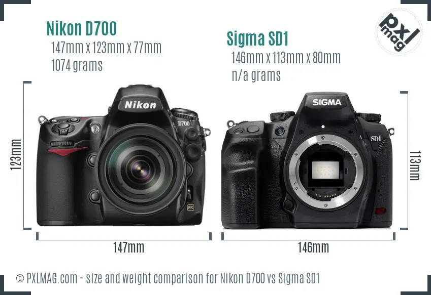 Nikon D700 vs Sigma SD1 size comparison