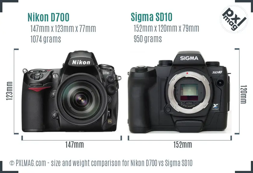 Nikon D700 vs Sigma SD10 size comparison