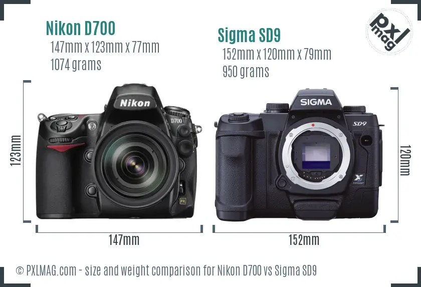 Nikon D700 vs Sigma SD9 size comparison