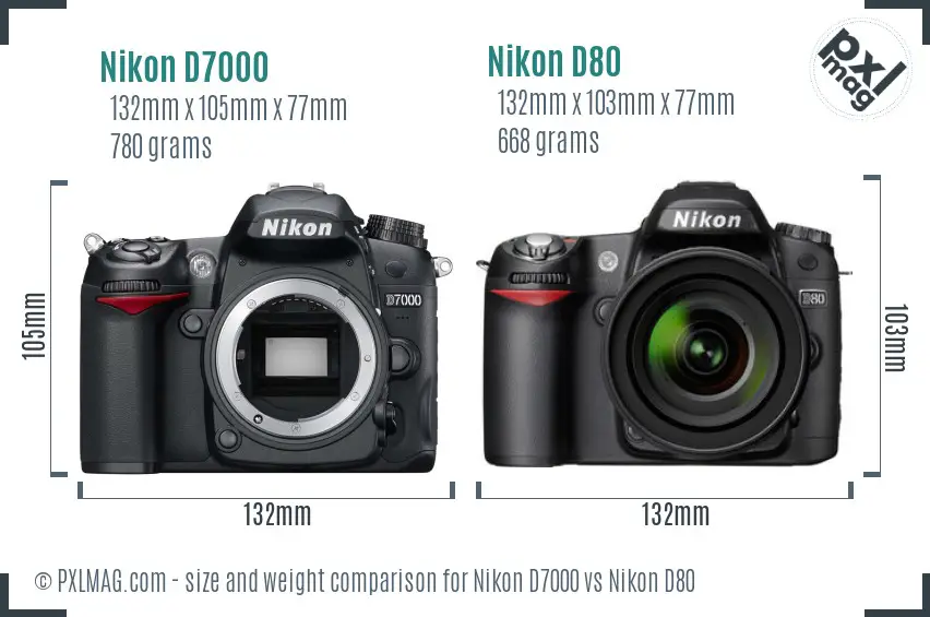 Nikon D7000 vs Nikon D80 size comparison