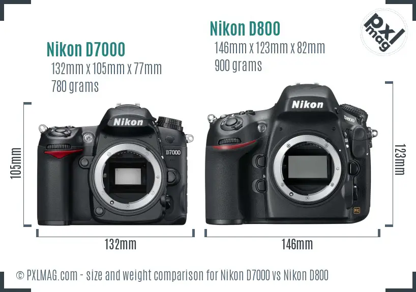 Nikon D7000 vs Nikon D800 size comparison