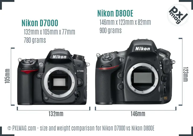 Nikon D7000 vs Nikon D800E size comparison